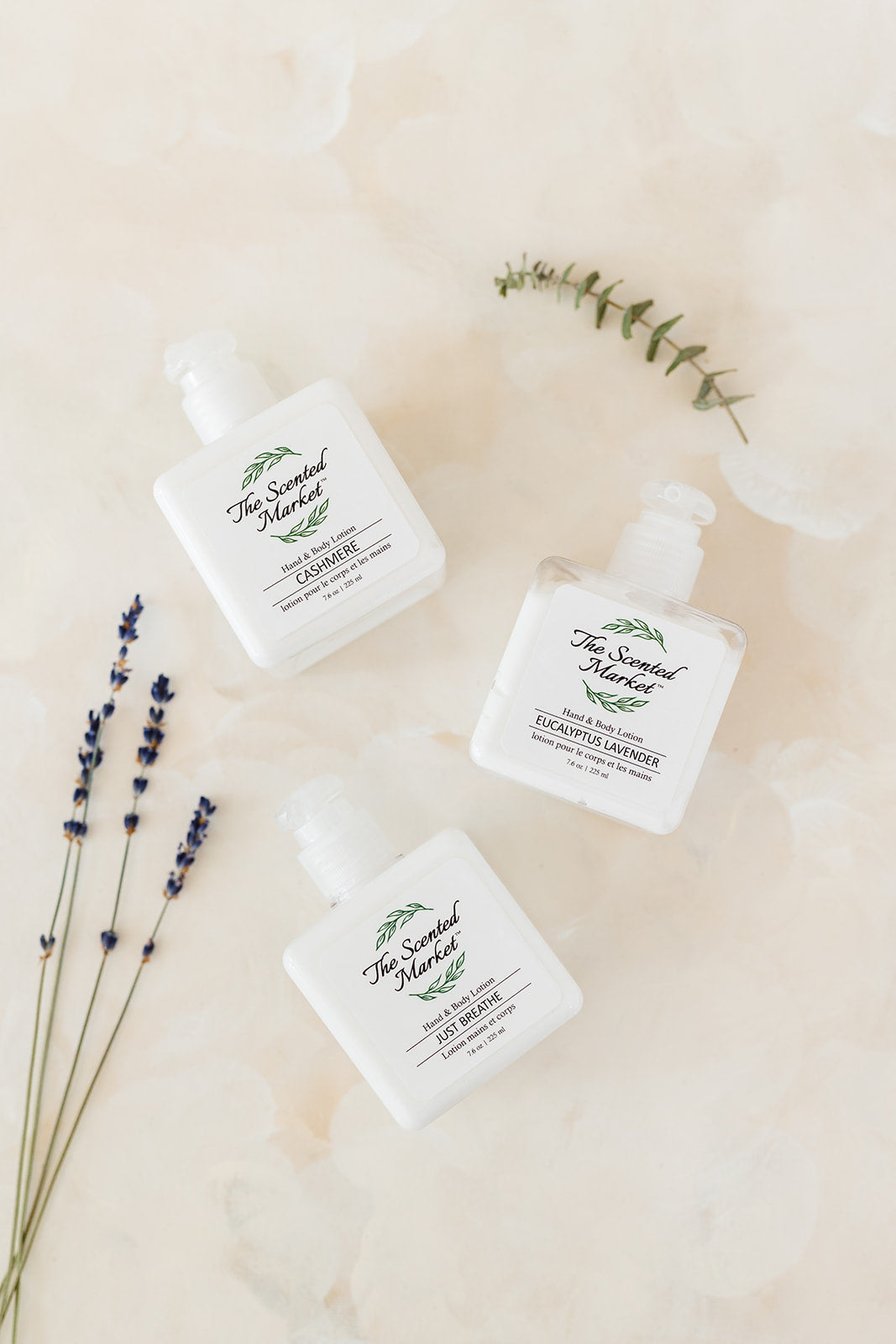 Just Breathe Hand and Body Lotion – Refreshing and Hydrating - The Scented Market Lotion & Moisturizer