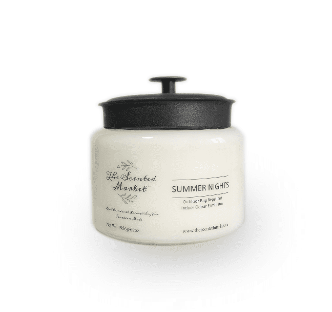 SUMMER NIGHTS 4 WICK SOY WAX CANDLE - The Scented Market