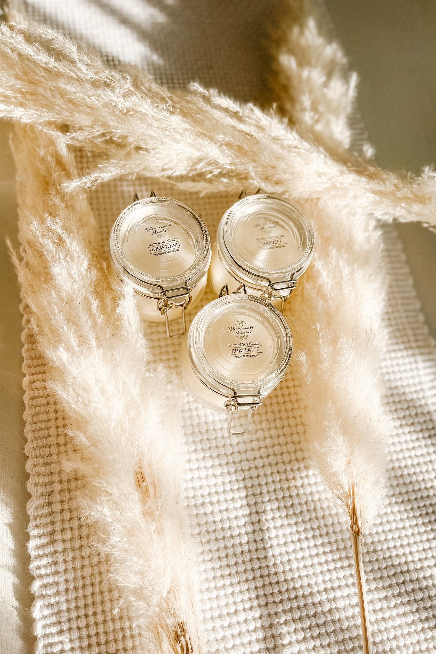 FALL COLLECTION 3 PACK - The Scented Market