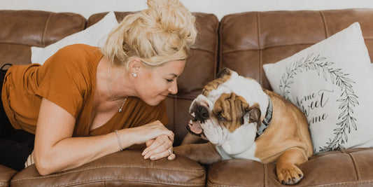 Are Scented Candles Pet Friendly? We asked a Vet.