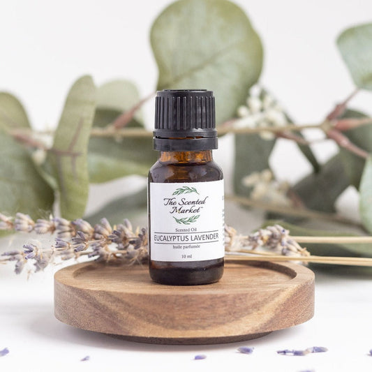 EUCALYPTUS LAVENDER Oil Fragrance - The Scented Market 