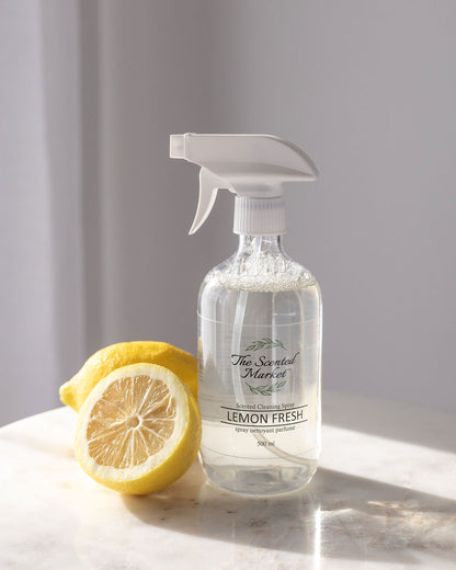 Kitchen Clean Box – Lemon Fresh Scent for a Sparkling, Fresh-Smelling Kitchen