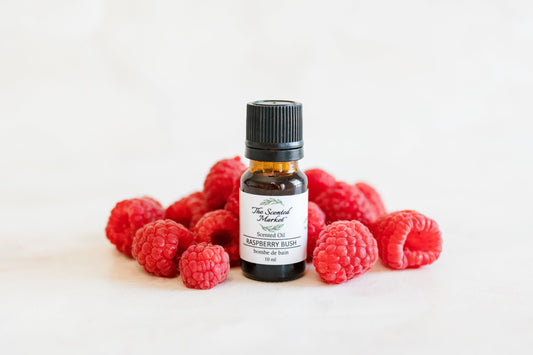 RASPBERRY BUSH Oil Fragrance - The Scented Market 