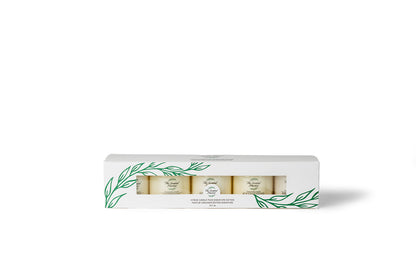 Signature Candle Sample 5-Pack – Best-Selling Scents, Clean Soy Wax