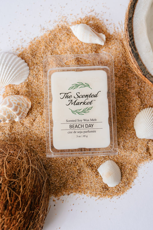 BEACH DAY Soy Wax Melt - The Scented Market