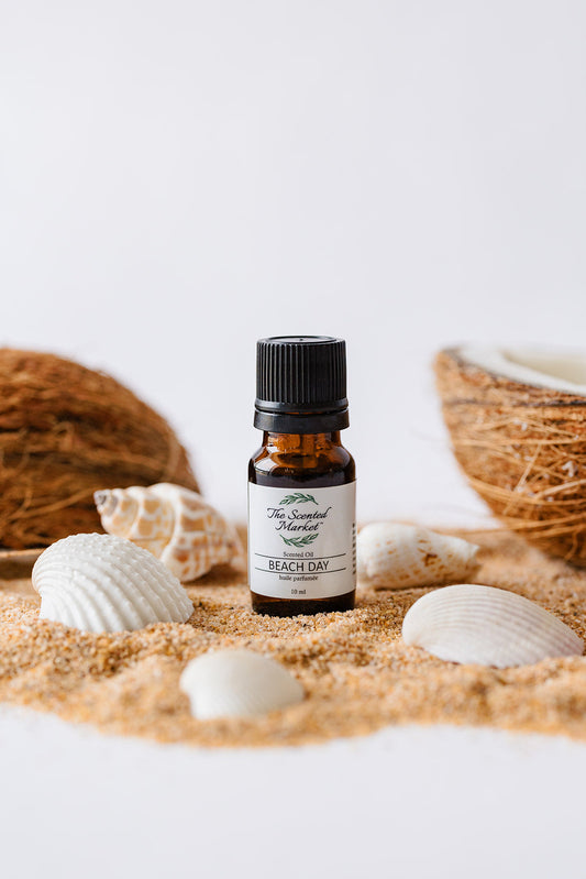 BEACH DAY Oil Fragrance - The Scented Market 
