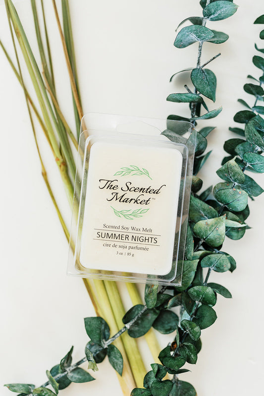 SUMMER NIGHTS Soy Wax Melt - The Scented Market 
