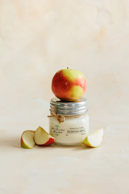 Exclusive Apple Orchard Candle 2 Pack – Granny Apple & McIntosh Apple