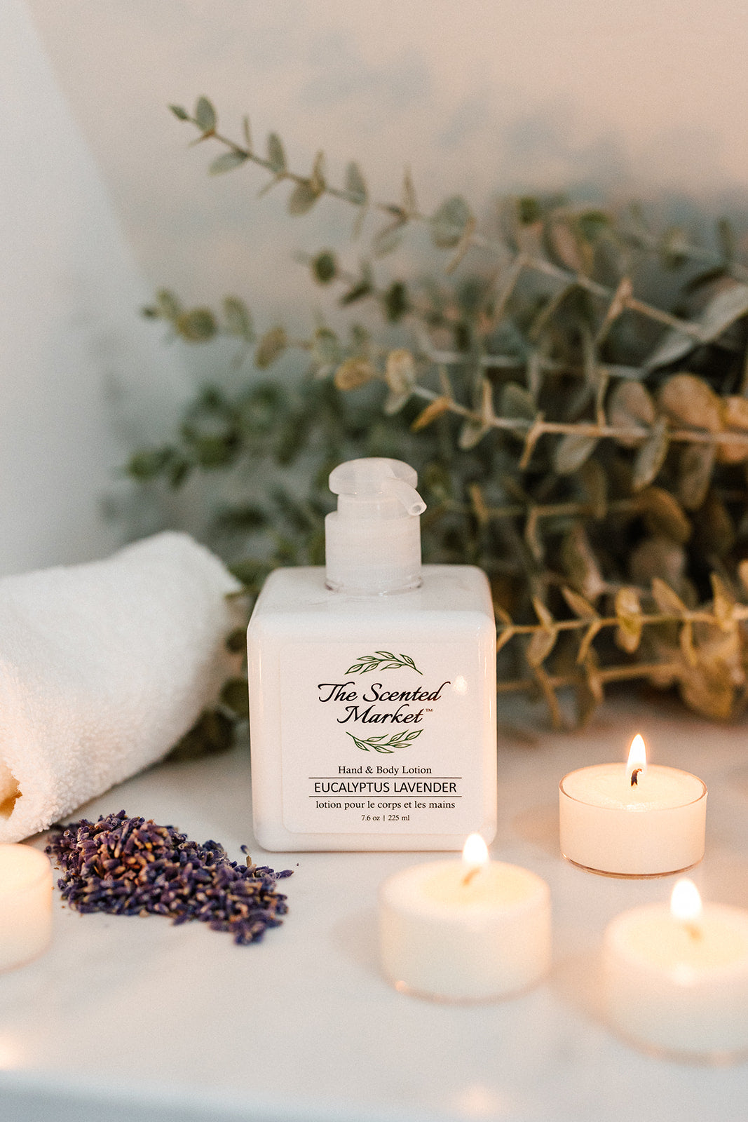 EUCALYPTUS LAVENDER Hand & Body Lotion - The Scented Market 