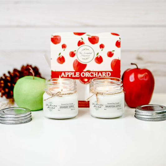 Exclusive Apple Orchard Candle 2 Pack – Granny Apple & McIntosh Apple