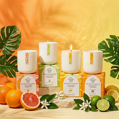 Citrus Collection - Grapefruit Soy Wax Candle