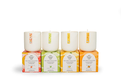 Citrus Collection - Grapefruit Soy Wax Candle
