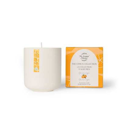 Candle and its packaging on a white background
