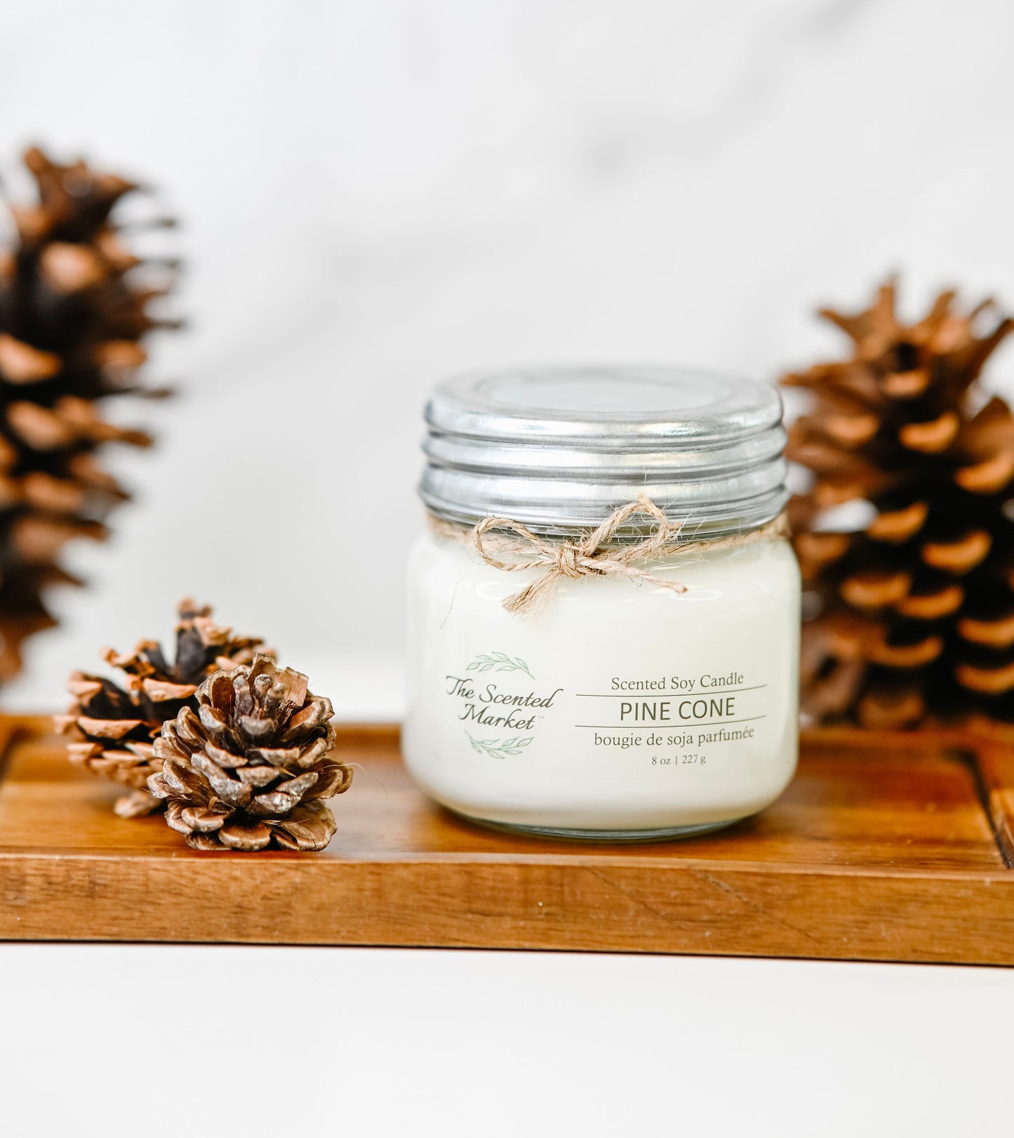 PINE CONE - Scent of the Month November - The Scented Market  Candles   