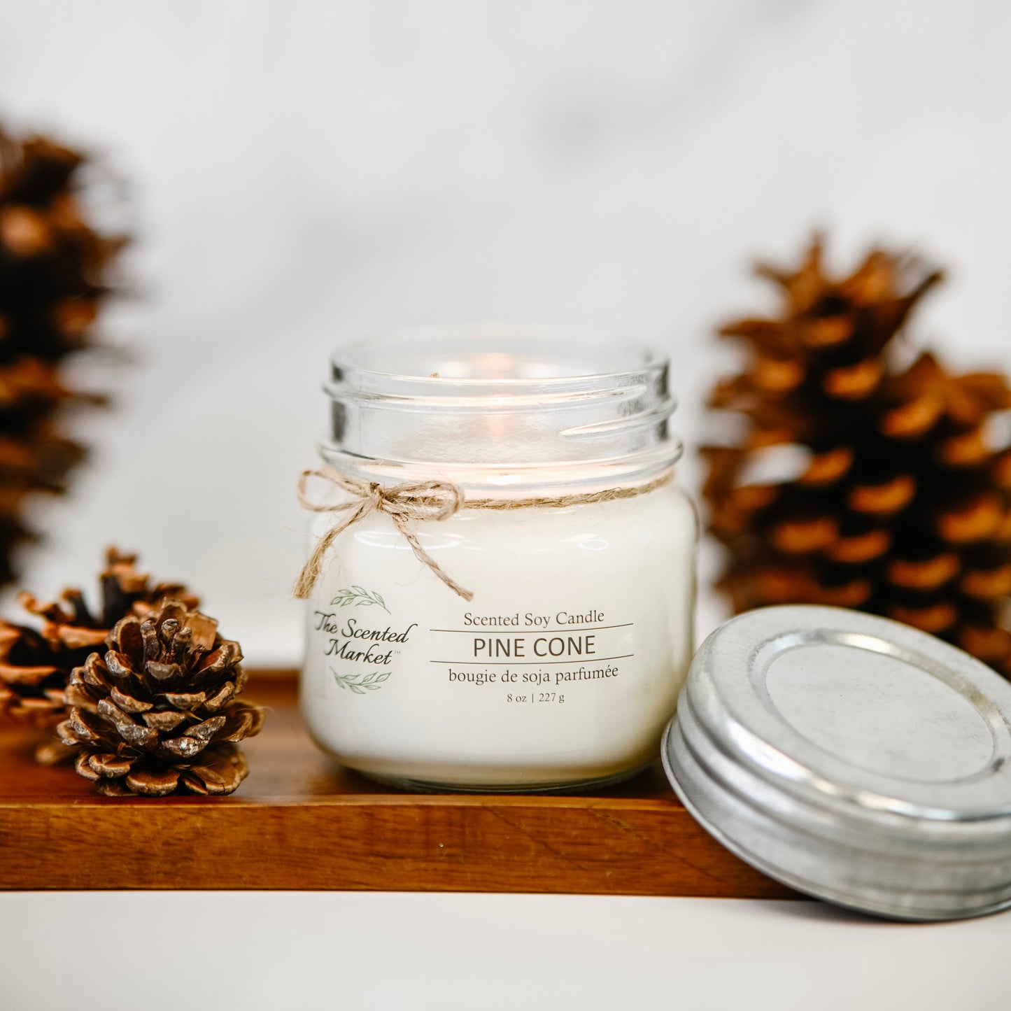 PINE CONE - Scent of the Month November - The Scented Market  Candles   