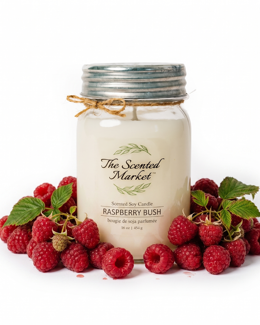 RASPBERRY BUSH Soy Wax Candle 16 oz