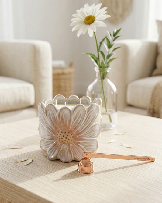 Daisy Flower 3 Wick Candle – Fresh & Floral Scented Candle for Home Décor