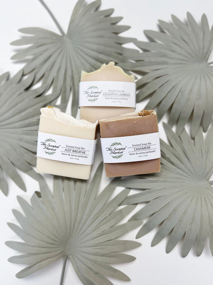 CASHMERE - Scented Soap Bar - The Scented Market 